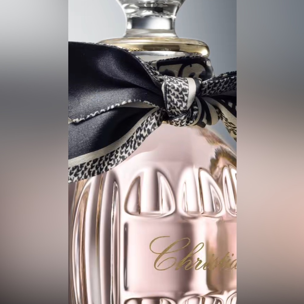 Dior Beauty Blue & White Amphour twilly ribbon - Picture 4 of 5